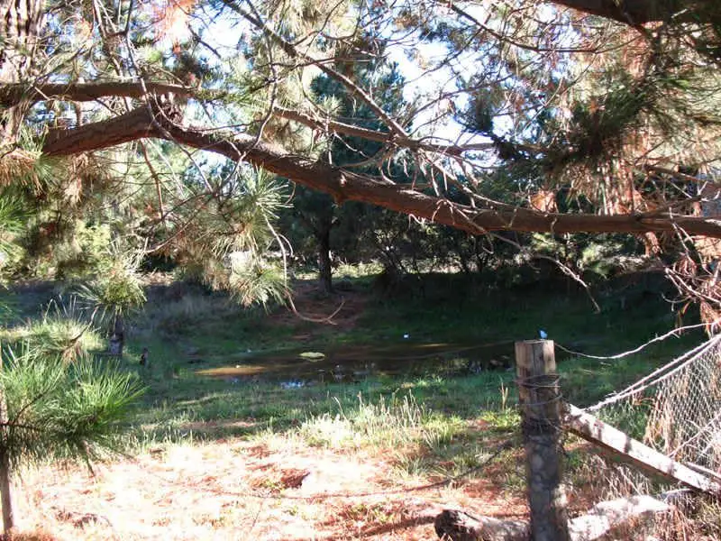 Main view of Homely land listing, Lot 3 Plenar Street, Carlton TAS 7173