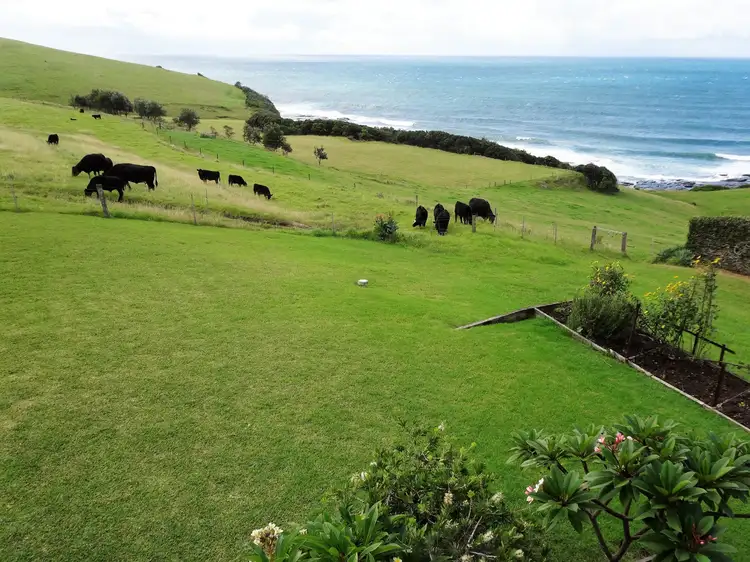 Main view of Homely house listing, 100 Headland Drive, Gerroa NSW 2534