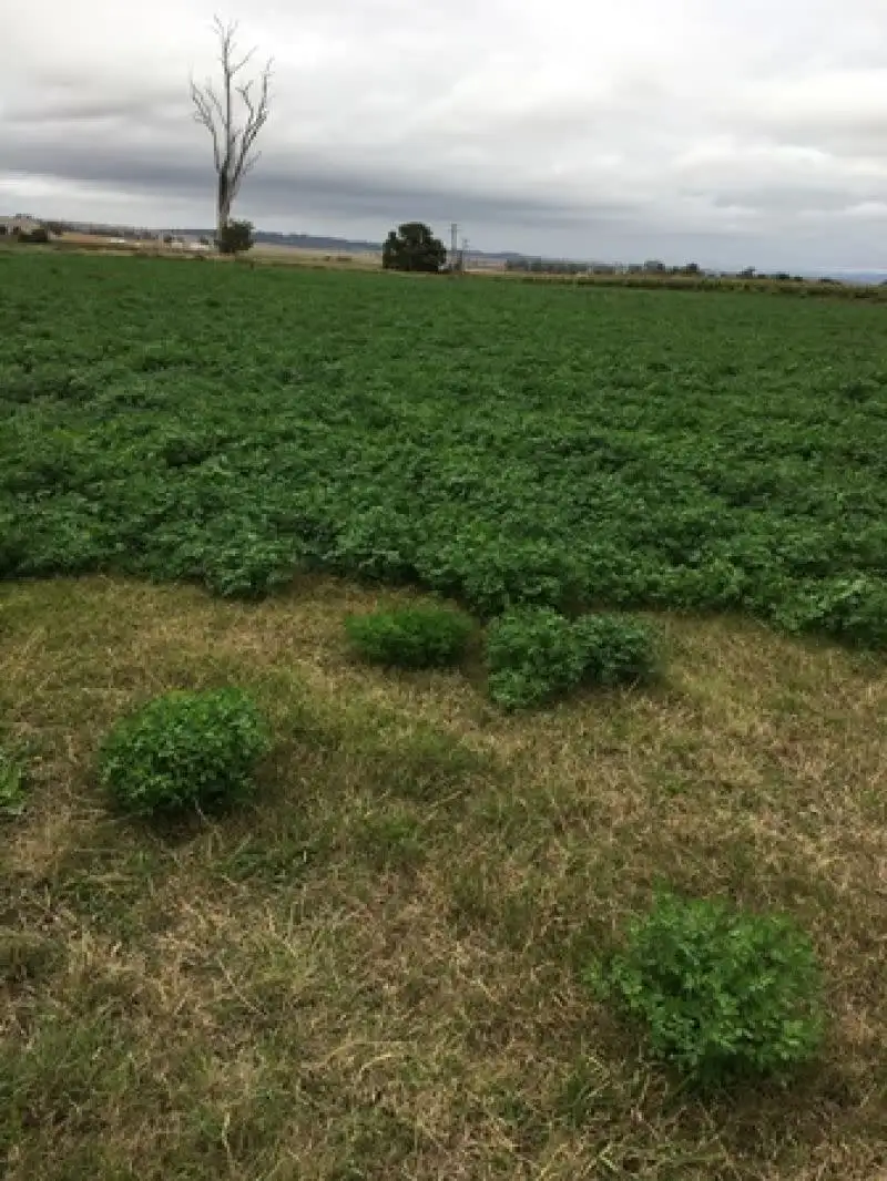 Main view of Homely land listing, 3 Tannymorel Road, Killarney QLD 4373