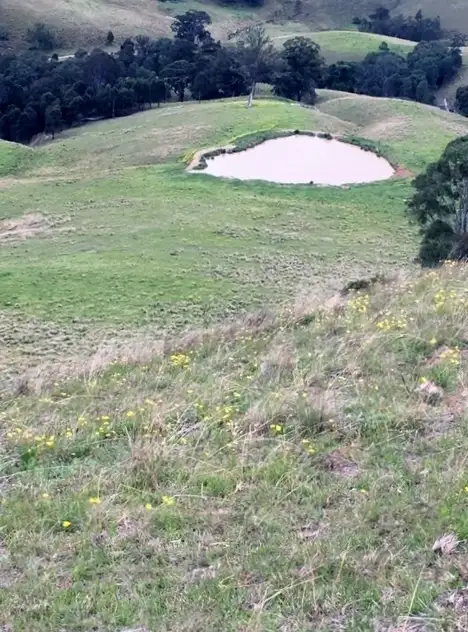 Fifth view of Homely rural property listing, Address available on request