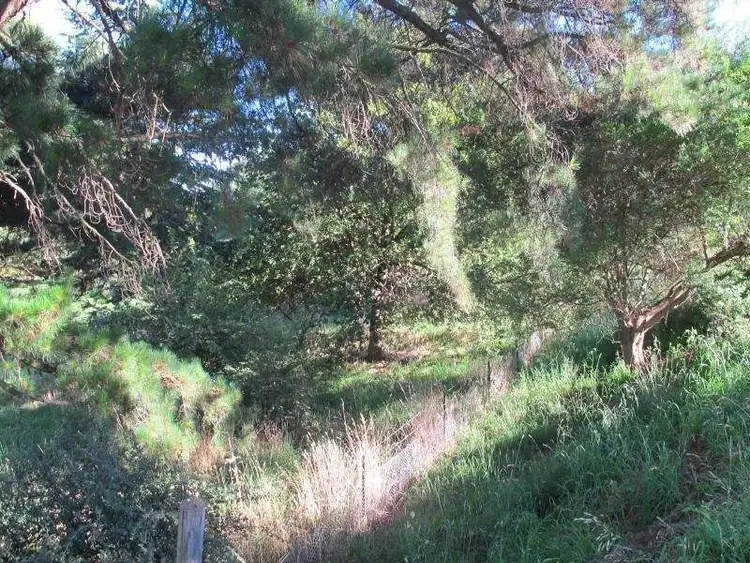 Third view of Homely land listing, 13 Blake Street, Millthorpe NSW 2798