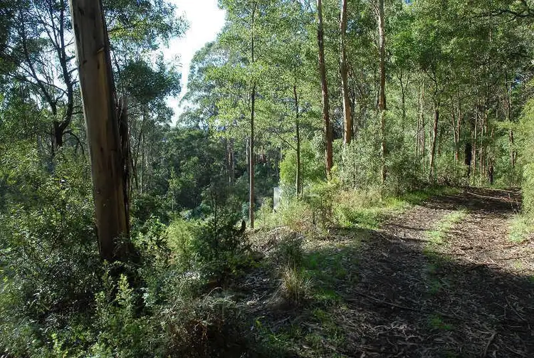 Seventh view of Homely land listing, 80 Old Hordernvale Access Road, Apollo Bay VIC 3233