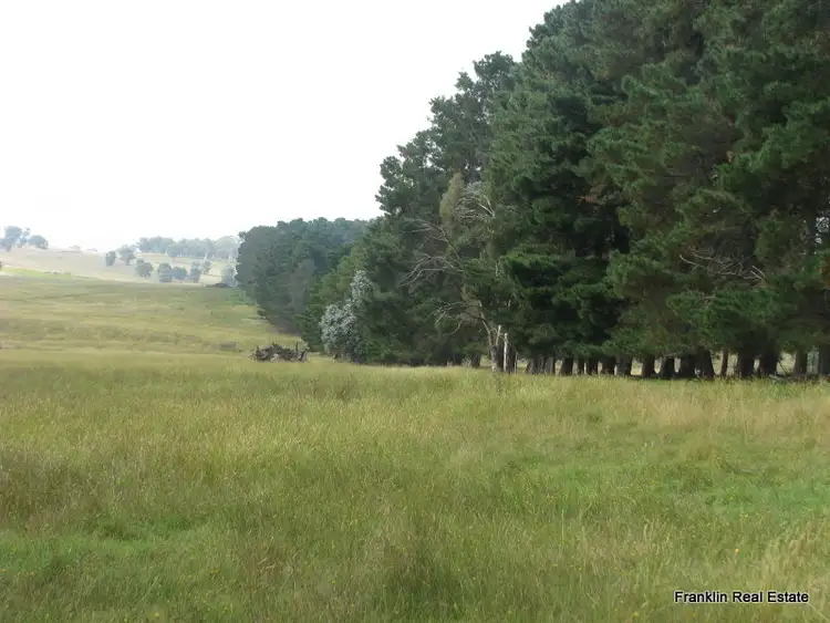 Fifth view of Homely rural property listing, Ryans Ridge via Greenwich Park Bulls Pitt Road, Goulburn NSW 2580