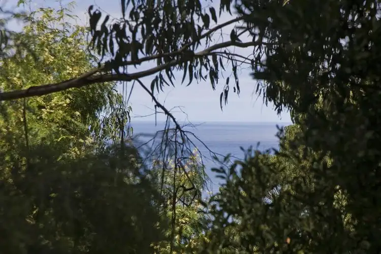 Main view of Homely house listing, 31 Karingal Drive, Wye River VIC 3221