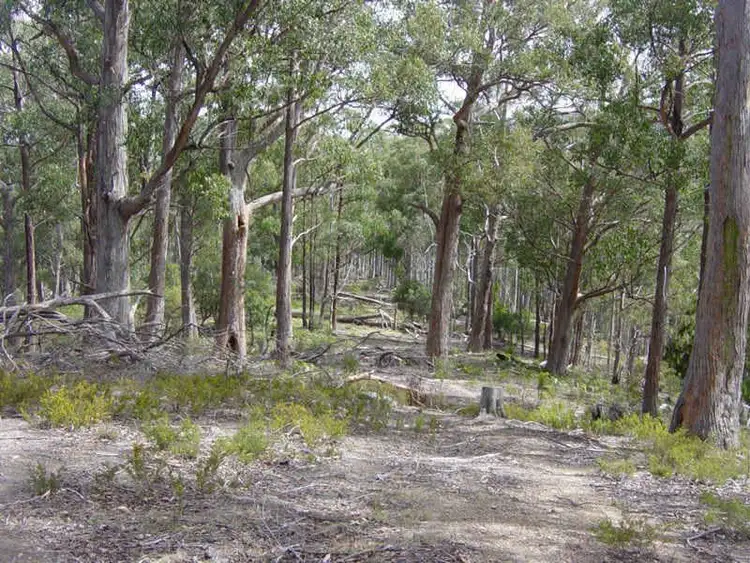 Second view of Homely land listing, Lot 1 Cowens Road, Gardners Bay TAS 7112