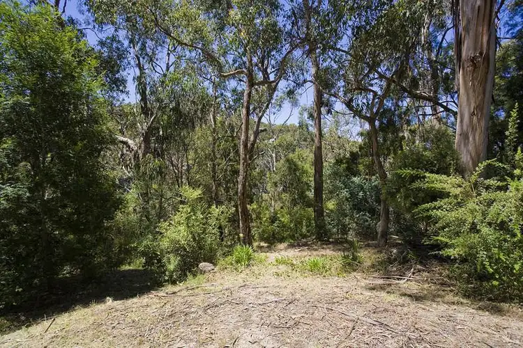 26A Richardson Boulevard, Lorne VIC 3232