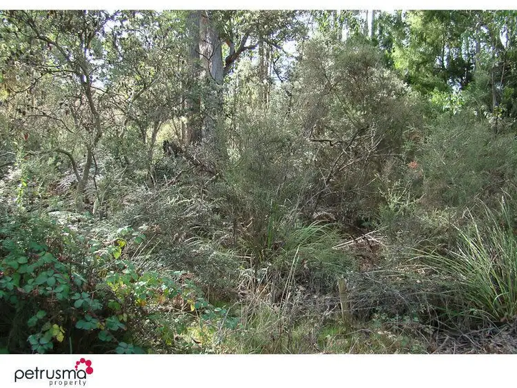 Fifth view of Homely land listing, 433-435 Abels Bay Road, Abels Bay TAS 7112