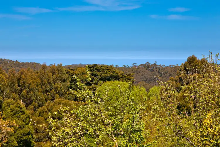 Second view of Homely rural property listing, 855 Great Ocean Road, Apollo Bay VIC 3233