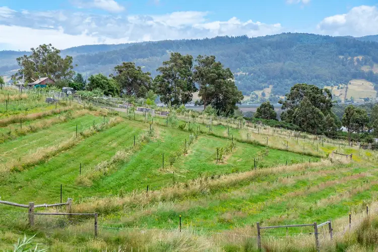 Fifth view of Homely house listing, 10 Schultz Street, Cradoc TAS 7109