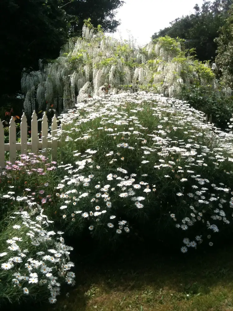 Fourth view of Homely house listing, 13 Hughes Street, Corinella VIC 3984