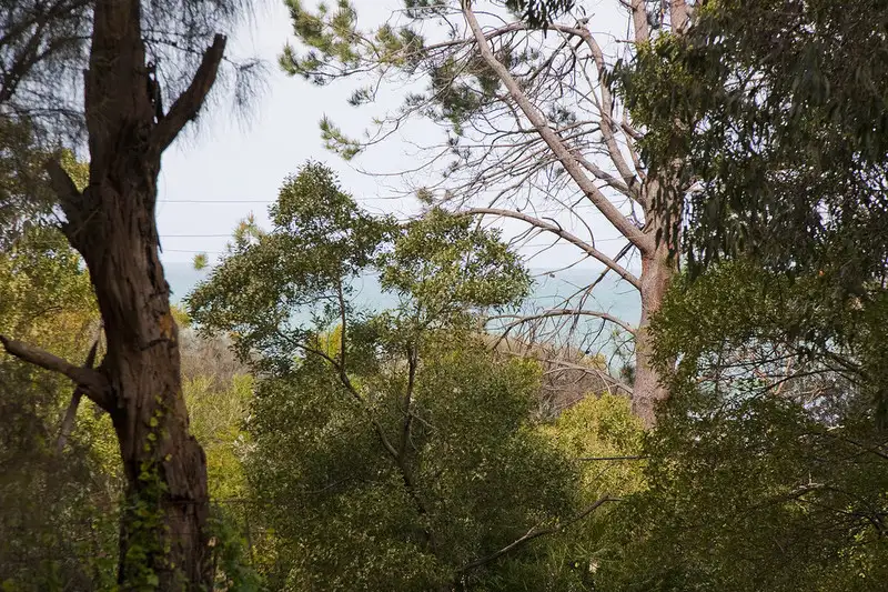 Main view of Homely land listing, LOT 2, 4 McLellan Court, Wye River VIC 3221