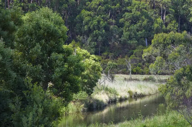 Fourth view of Homely land listing, 10 Joseph Court, Kennett River VIC 3221