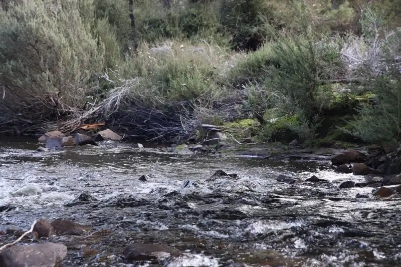 Main view of Homely land listing, Lot 1 Lyell Highway, Bronte Park TAS 7140