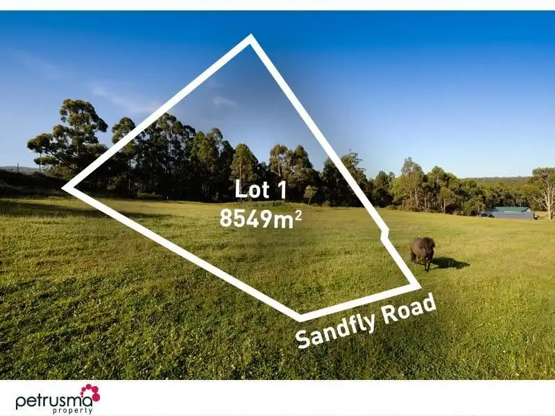 Main view of Homely land listing, 816 Sandfly Road, Sandfly TAS 7150