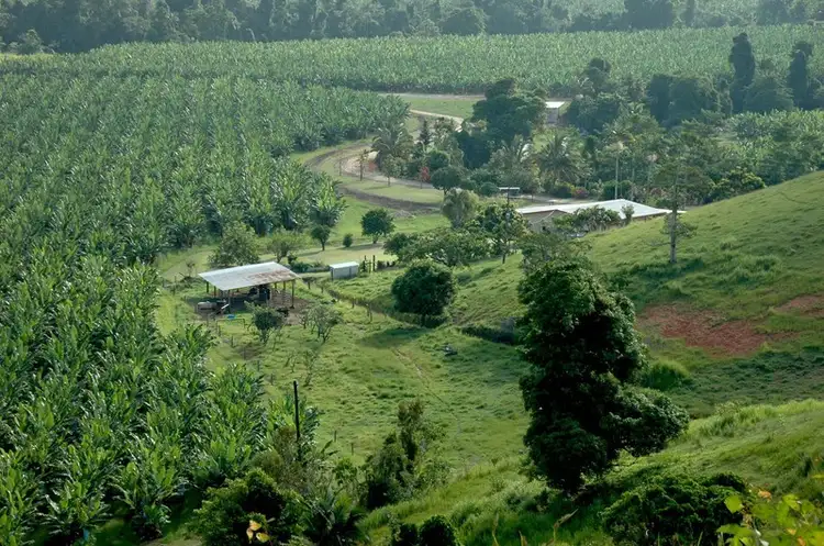 Fourth view of Homely rural property listing, 16 Cowley Creek Road, Cowley QLD 4871