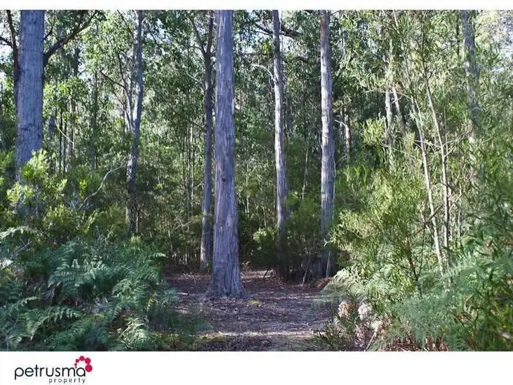 Seventh view of Homely land listing, 417 Sky Farm Road, Deep Bay TAS 7112