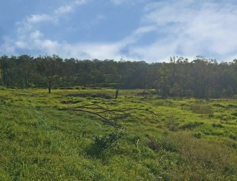 Main view of Homely rural property listing, Address available on request