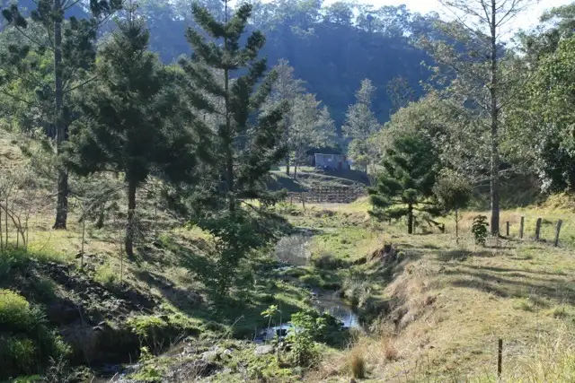 Seventh view of Homely land listing, 326 Bice Road, Leycester NSW 2480