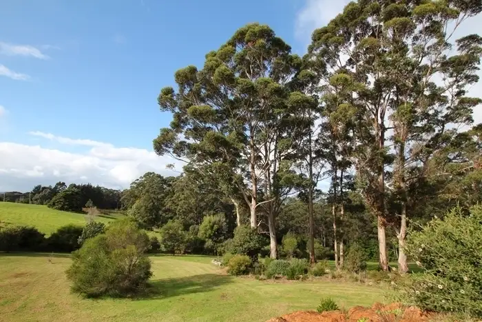 Fourth view of Homely rural property listing, 8 Wishart Close, Denmark WA 6333