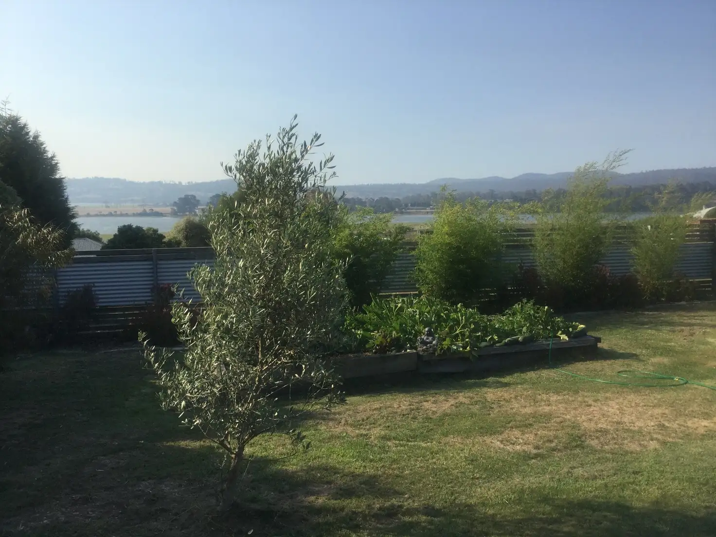 Main view of Homely rural property listing, 8 Pedley Place, Legana TAS 7277