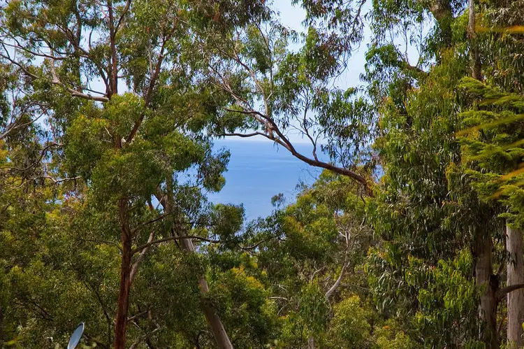 Second view of Homely house listing, 1 Ferny Grove, Kennett River VIC 3221