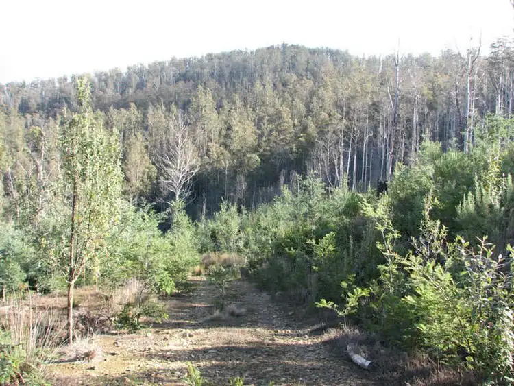 Second view of Homely land listing, Braslins Road, Black Hills TAS 7140