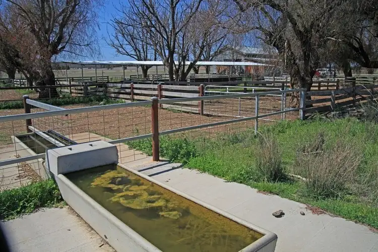 Sixth view of Homely rural property listing, Address available on request