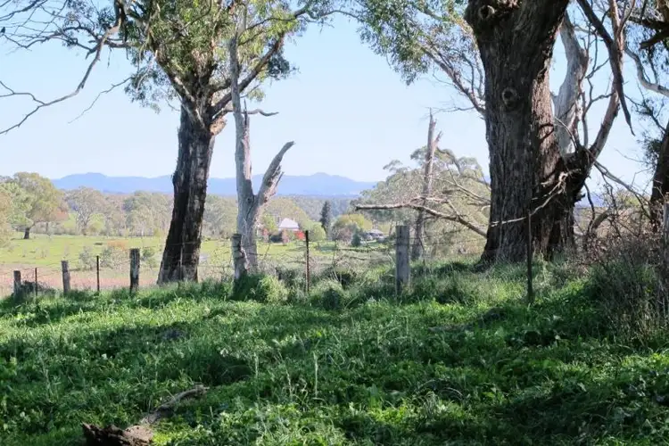 Seventh view of Homely land listing, 160 Forest Reefs Road, Millthorpe NSW 2798