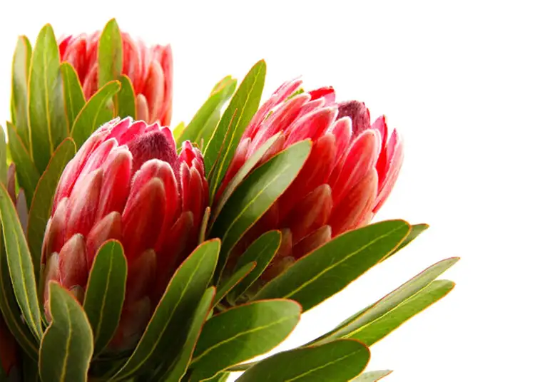 Fifth view of Homely rural property listing, Address available on request