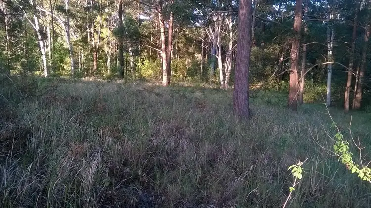 Fifth view of Homely land listing, 116 Commissioners Flat Road, Peachester QLD 4519