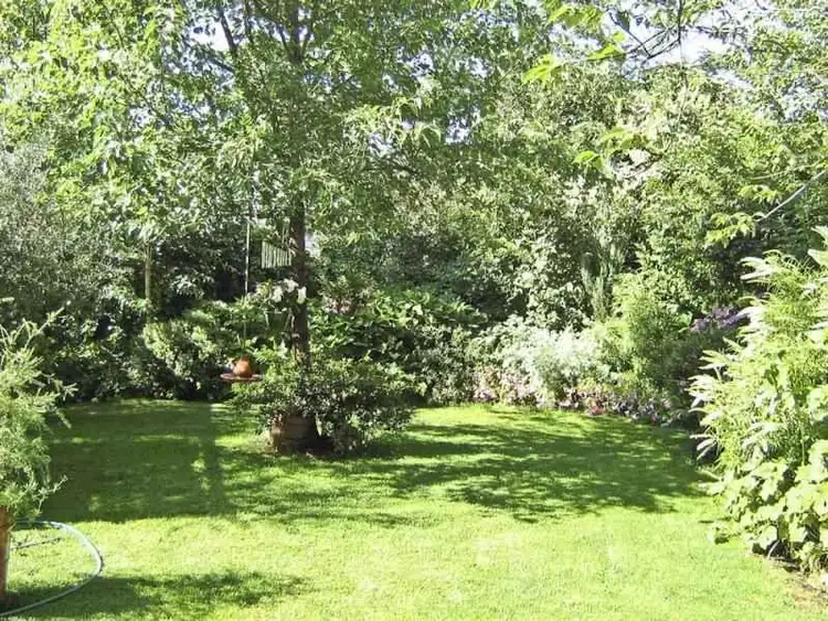 Fourth view of Homely house listing, 133 Hill Street, Orange NSW 2800