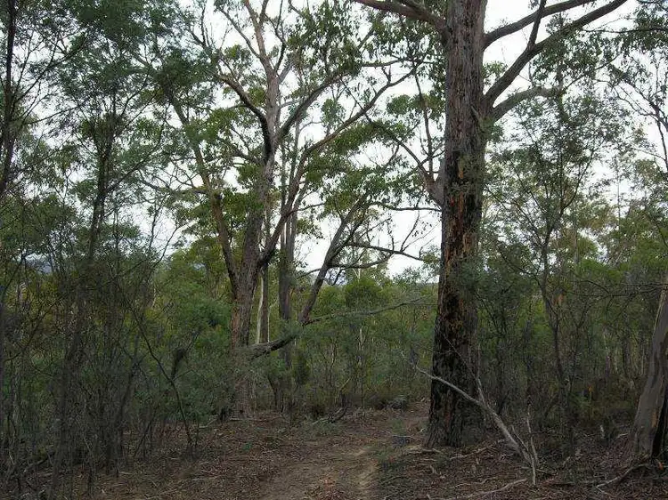 Fourth view of Homely land listing, Ellendale Road, Westerway TAS 7140