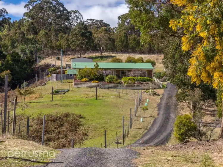 Main view of Homely house listing, 162 Pritchards Lane, Dysart TAS 7030