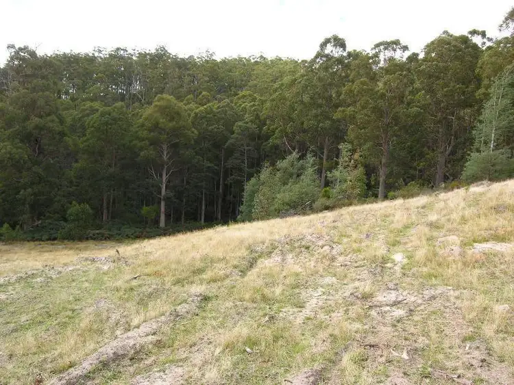 Sixth view of Homely land listing, Cowmeadows Road, Cradoc TAS 7109