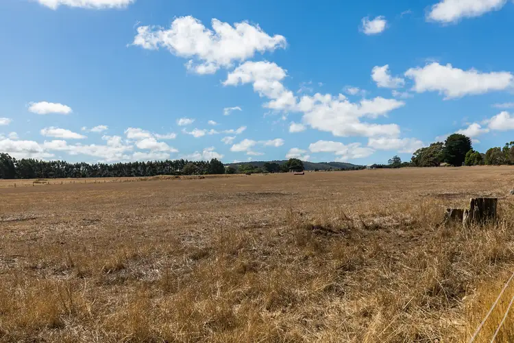 Fourth view of Homely house listing, 385 Bambra Cemetery Road, Deans Marsh VIC 3235