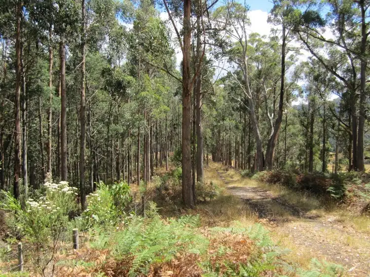 Third view of Homely land listing, Off Huon Highway, Dover TAS 7117