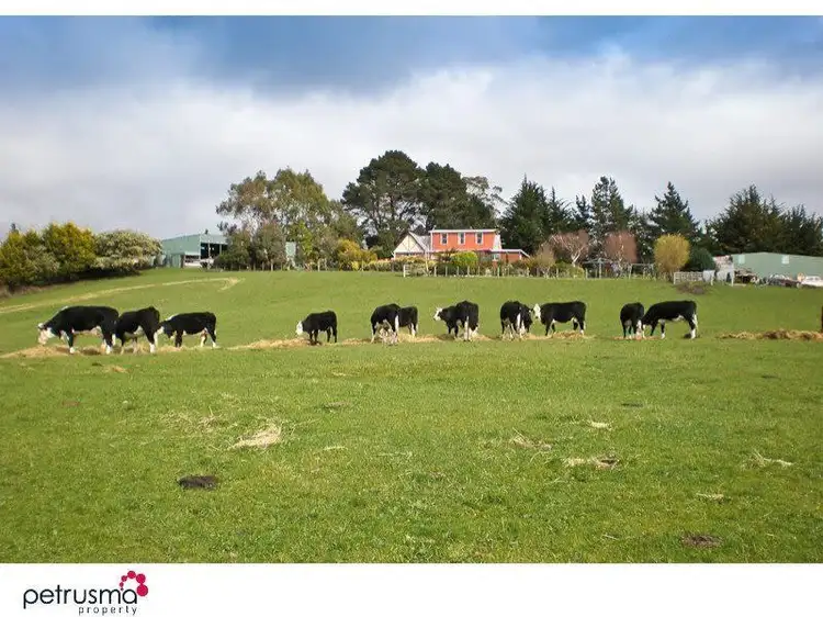 25 Hovingtons Road, Lower Longley TAS 7109