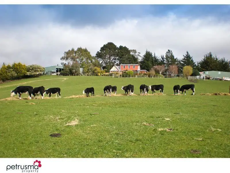 Main view of Homely house listing, 25 Hovingtons Road, Lower Longley TAS 7109