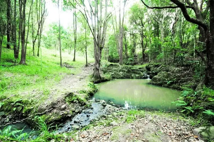 Third view of Homely land listing, 5 Wongaree Way, Currumbin Valley QLD 4223