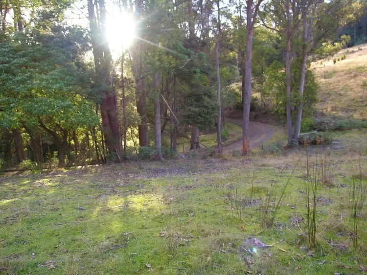 Third view of Homely land listing, Lot 1 Halls Track Road, Pelverata TAS 7150