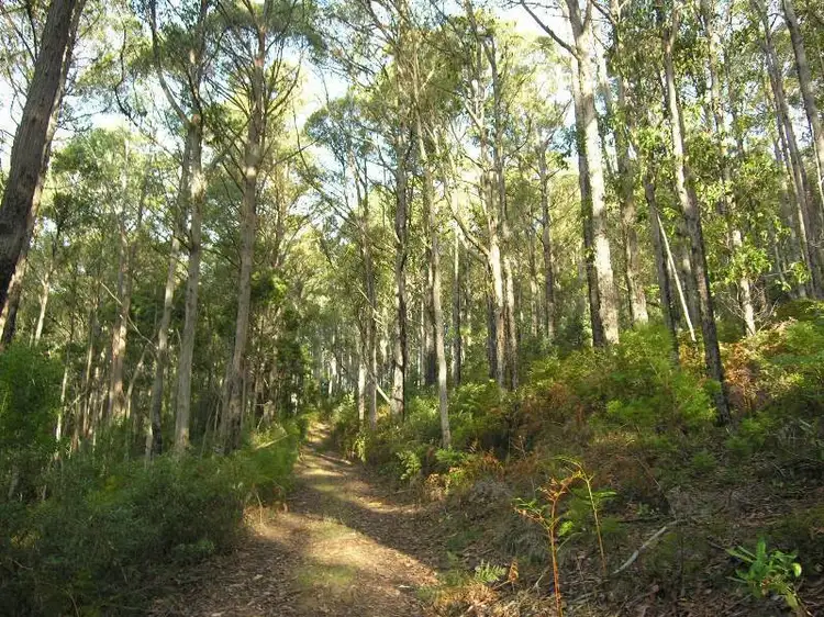 Fifth view of Homely land listing, Halls Track Road, Pelverata TAS 7150