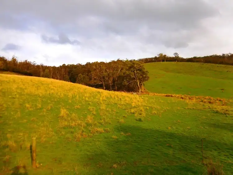 Second view of Homely land listing, 30 acres off Abbots Road, Nicholls Rivulet TAS 7112