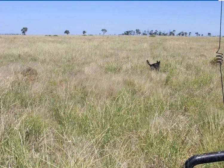 Sixth view of Homely rural property listing, - Talawanta & Ardrossan, Brewarrina NSW 2839