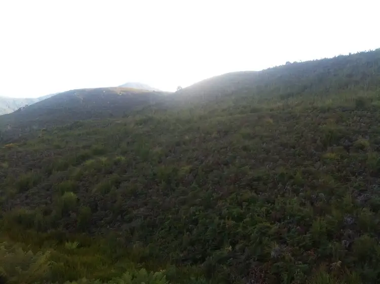 lot 3 and 4 Counsel st, Zeehan TAS 7469