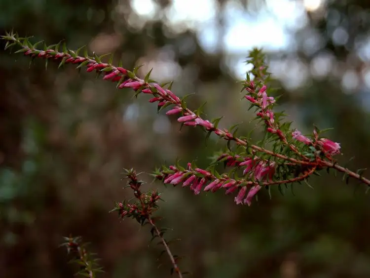 Fifth view of Homely land listing, 153 Groombridges Road, Kettering TAS 7155