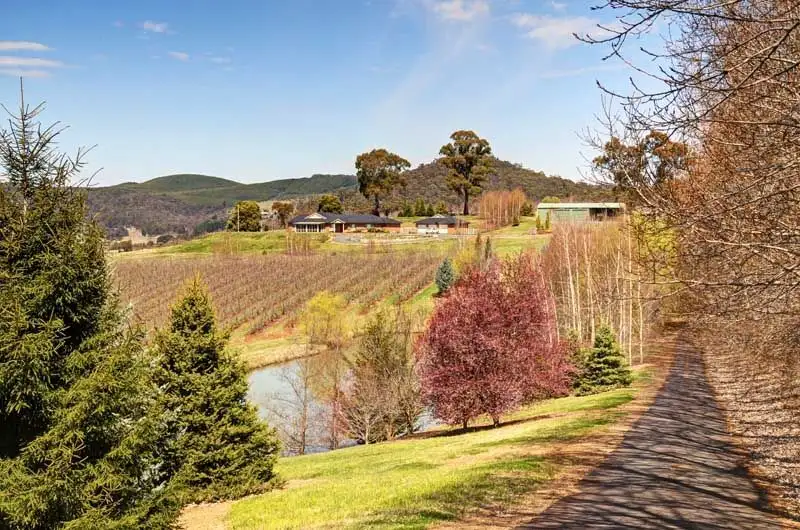 Main view of Homely house listing, 341 Nancarrow Lane, Nashdale NSW 2800