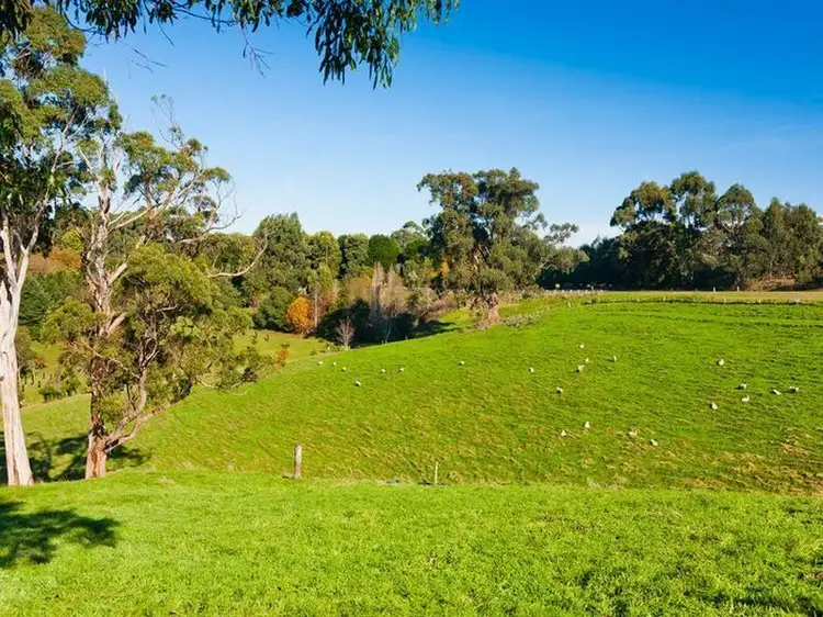 830 Great Ocean Road, Marengo VIC 3233