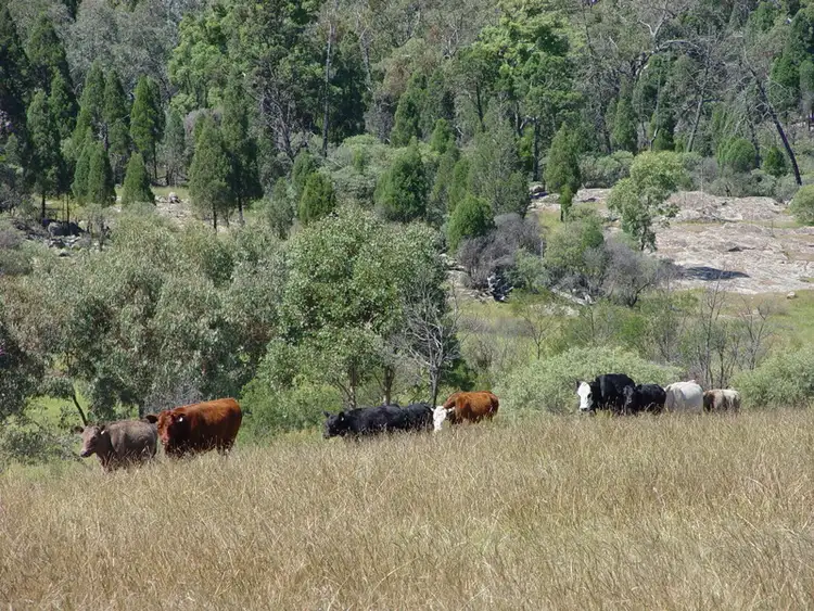 Seventh view of Homely land listing, Address available on request