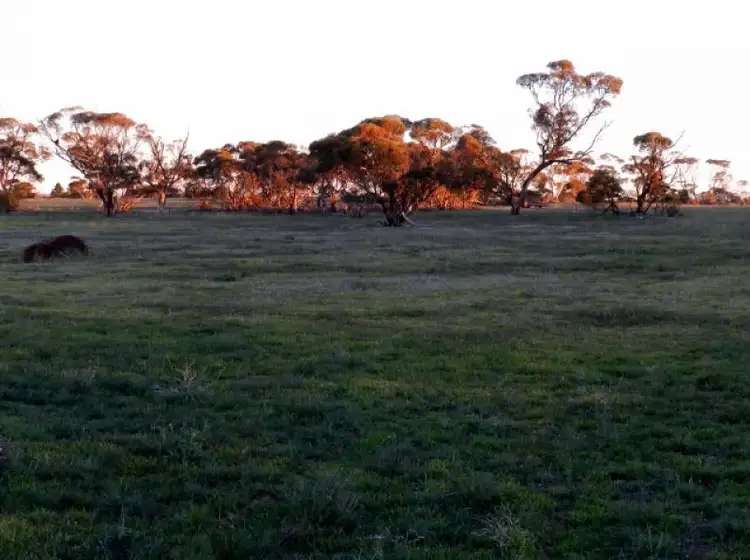 Sixth view of Homely land listing, Sec 37 and 38 Emerald Rise Road, Poochera SA 5655