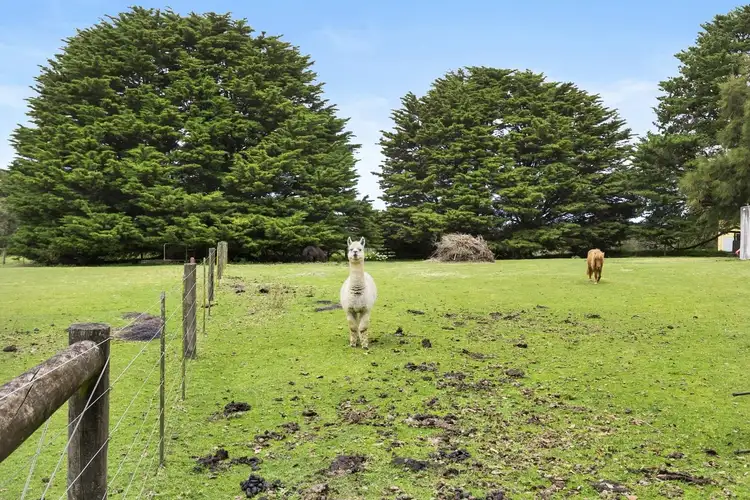 Fourth view of Homely rural property listing, 1125 Winchelsea - Deans Marsh Road, Bambra VIC 3241